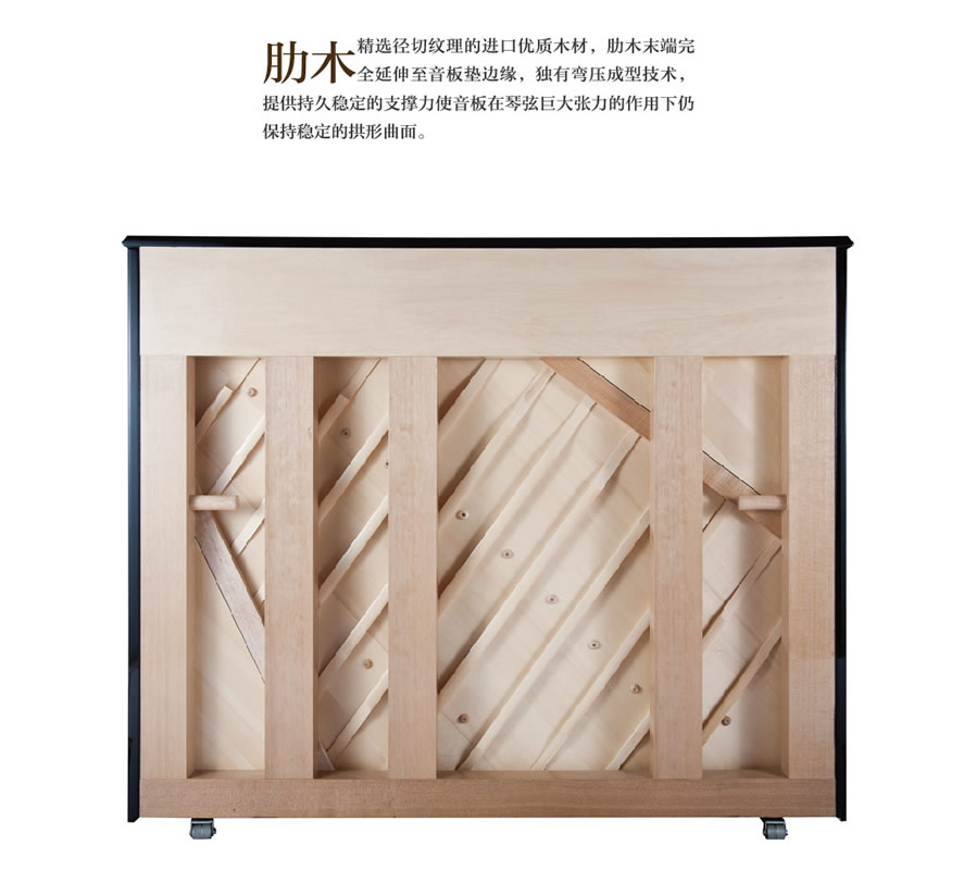 未命名-1.jpg